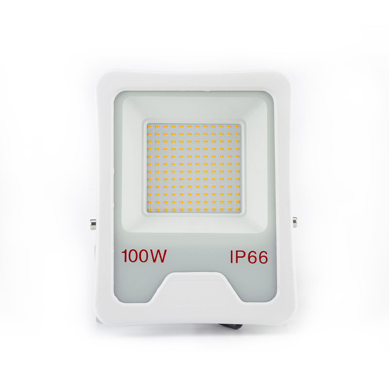 ip66 led flood light 100w