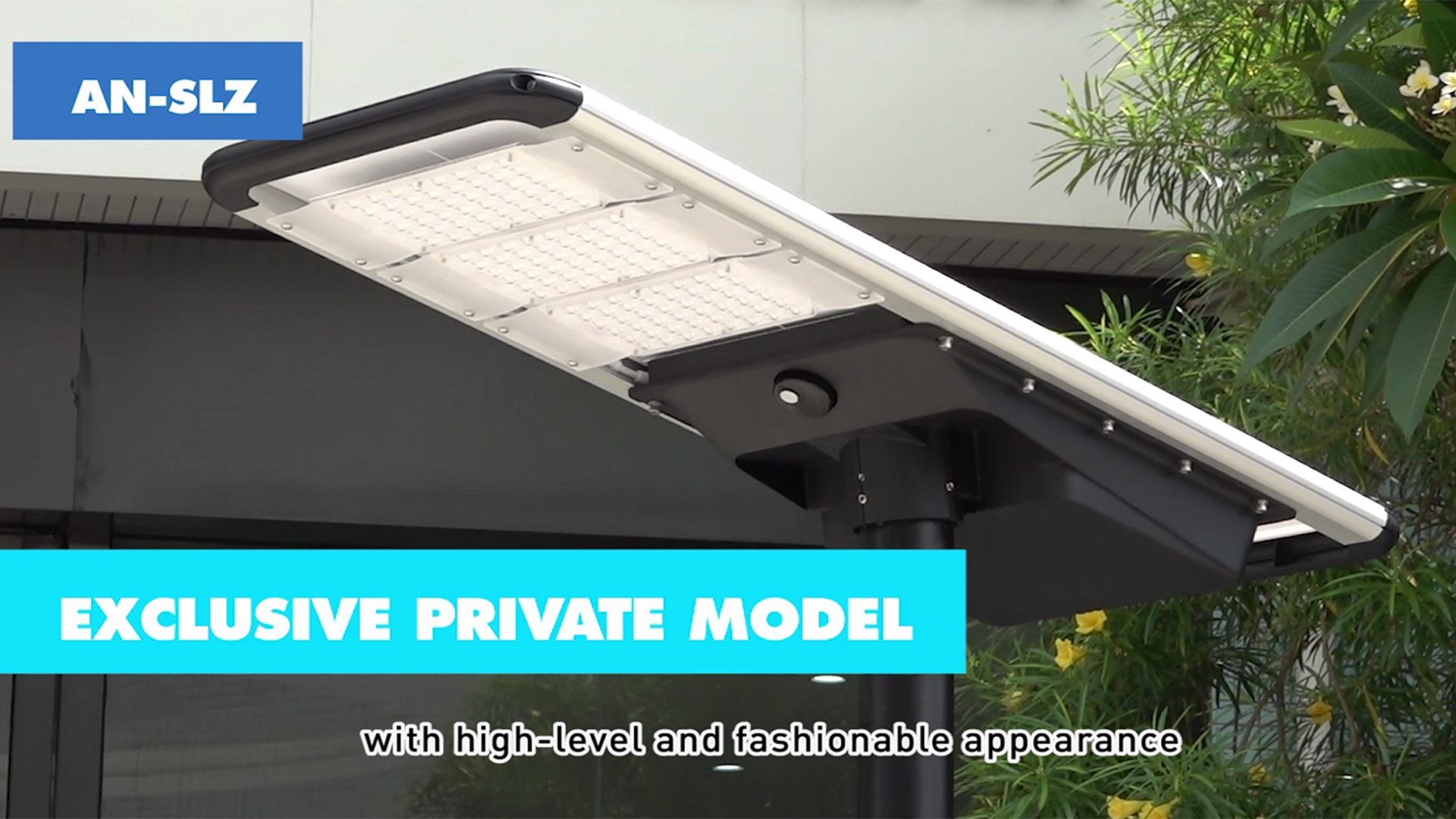 Enlarged LED Module Solar Street Light