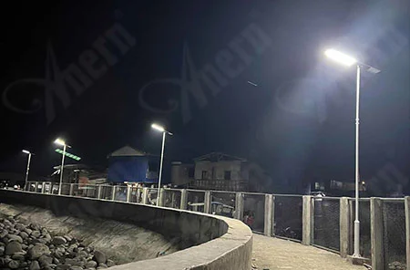 77 Sets 100W All In One Solar Street Light Project in the Philippines