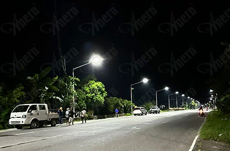 300sets of SLZ Solar Street Lighting Project in the Philippines
