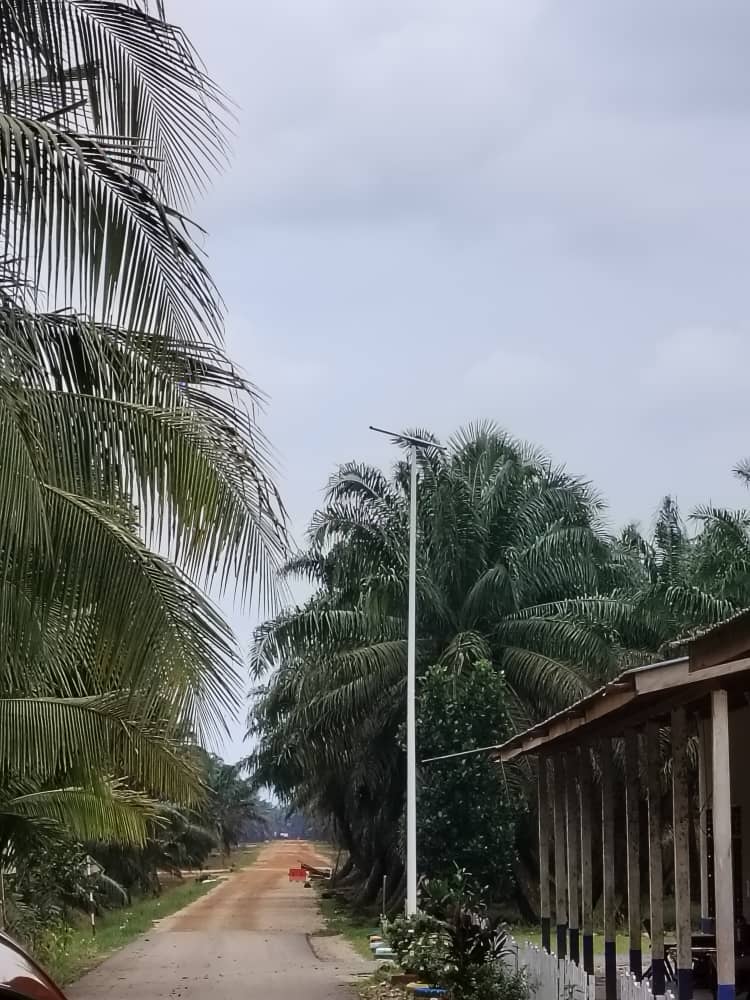 solar street light system