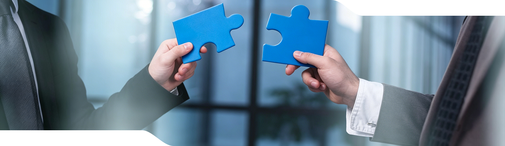 Our Partnership Models
