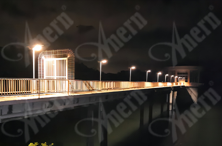 AN-SLX 200W Solar Street Light